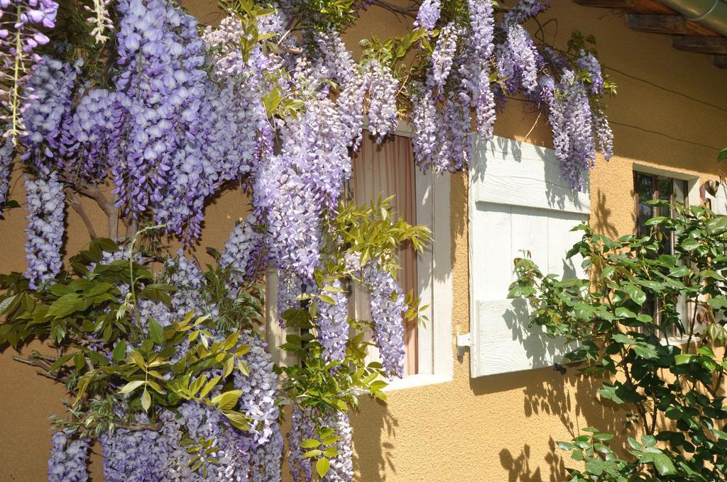 B&B La Cerisaie Francheleins Ngoại thất bức ảnh