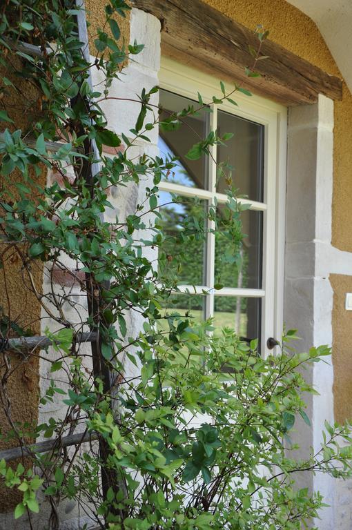 B&B La Cerisaie Francheleins Phòng bức ảnh